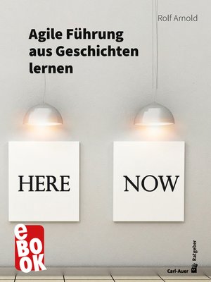 cover image of Agile Führung aus Geschichten lernen
